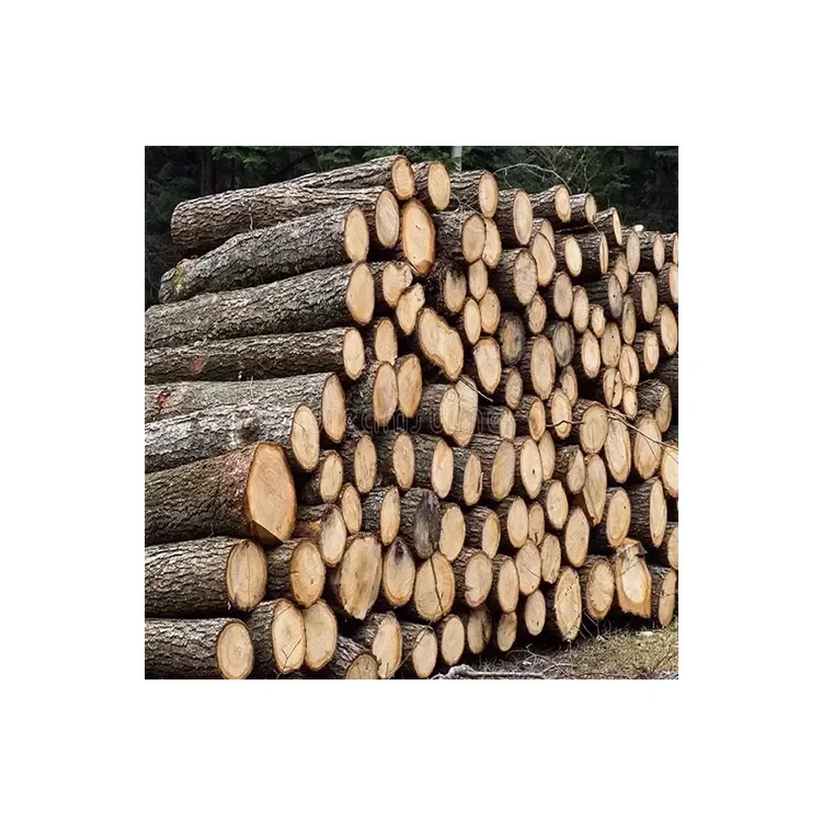 Beech Wood Logs / Sawn Spruce Wood Logs Pine Wood lumber