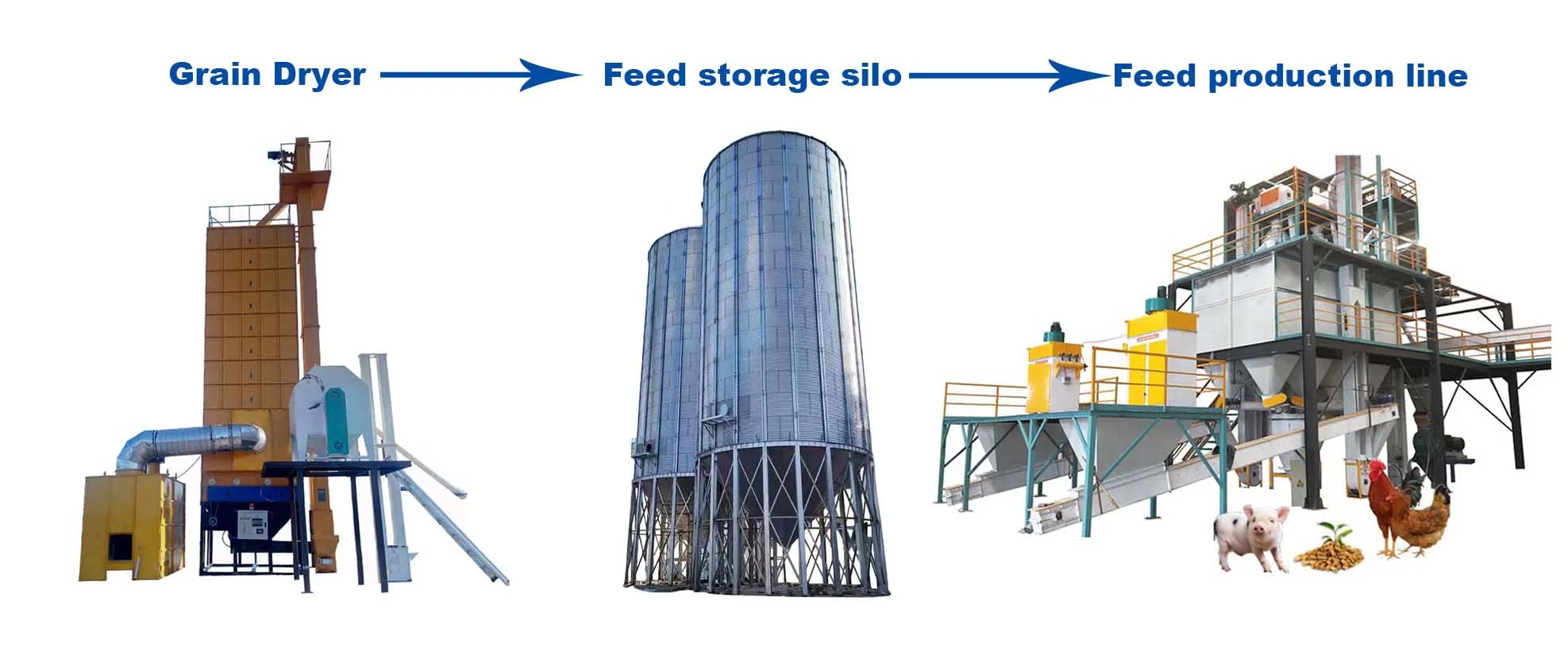 Goat, cow, animal feed processor, chicken, duck and poultry complete feed line