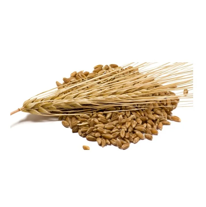 Корм для животных ячмень