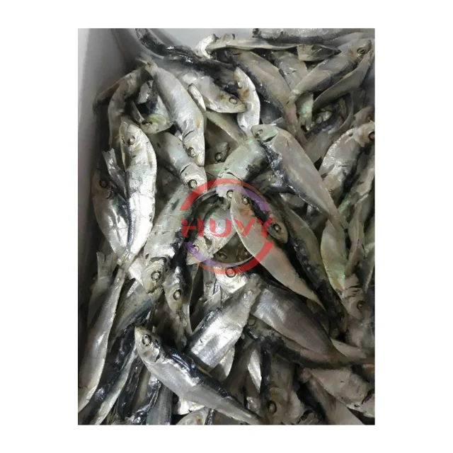 Wholesale Indian Mackerel Nature Fast Delivery Herring Fish Dry Herring Sea Food Factory Price OEM Service Made In Vietnam