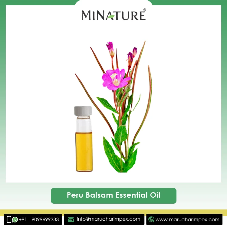 Elevate Your Senses with Our Collection of High-Quality Pure & Organic Peru Balsam Essential Oil at Lowest Price