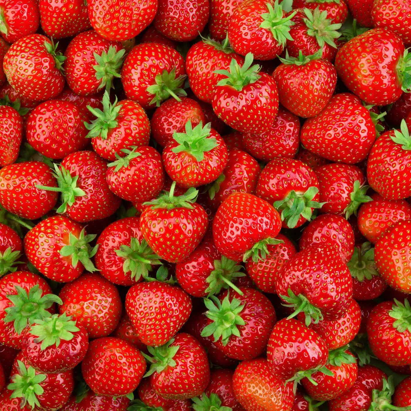 Buy best Frozen Strawberry/ Quality Fresh Strawberry Fast Shipping to all Location at cheap price