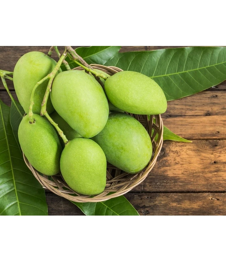 Guaranteed quality 100% Natural Fresh Organic Mango From Vietnam Ready to Export Premium Grade of Fresh Mango Sweet Taste