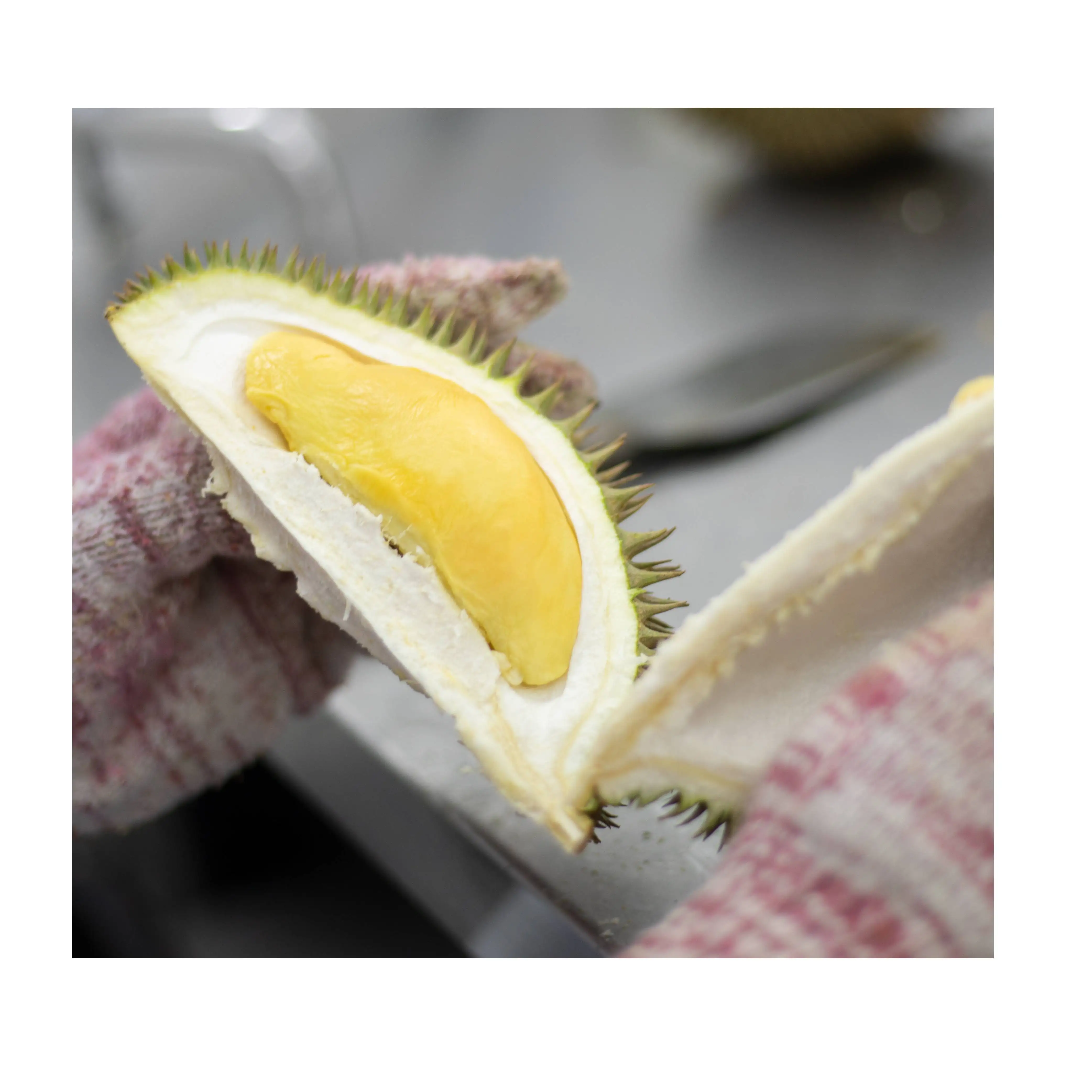 Premium Quality Higher Grade Malaysia Delicious Kampung Durian Paste Vacuum Pack Packaging Free Additives Long Shelf Life