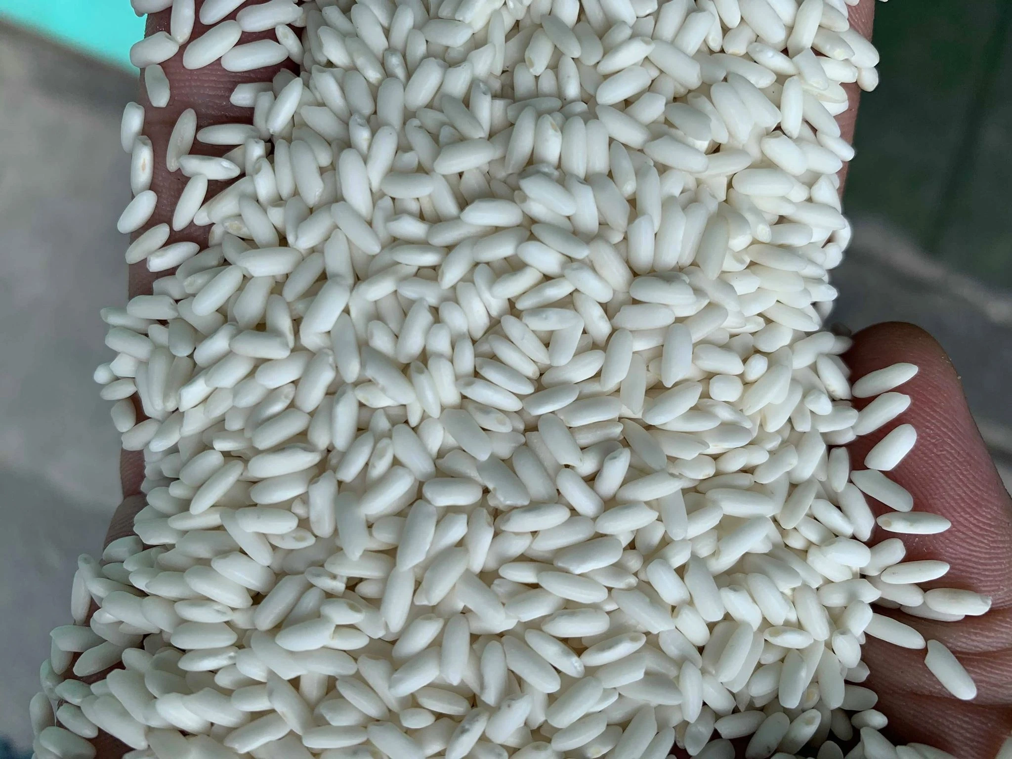 Дешевая цена, горячая Распродажа, длинный клейкий рис с 5-10% сломанным для оптовой продажи из Вьетнама