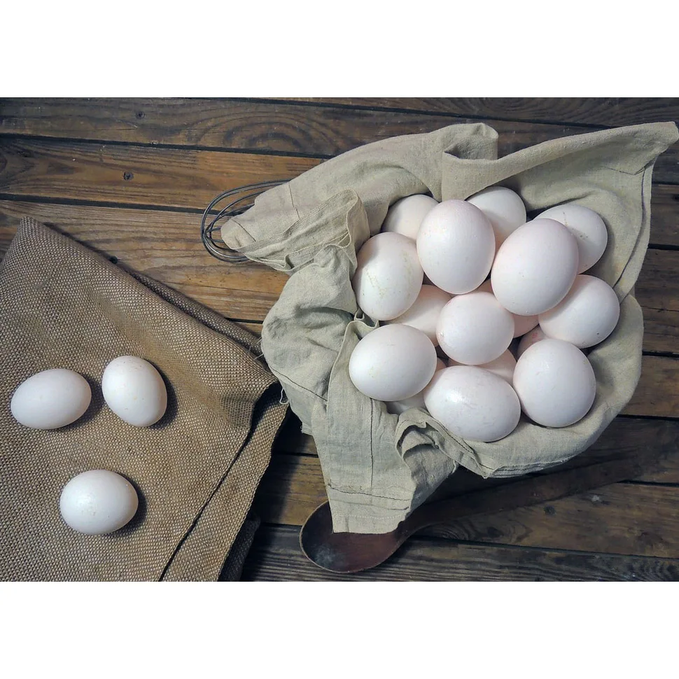 Свежие куриные яйца для фермы, коричневые и белые куриные яйца в бразильском стиле, цветная подставка