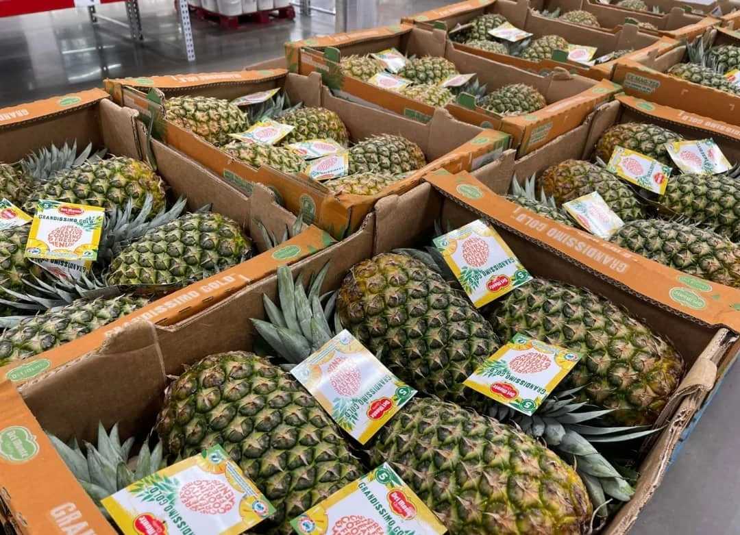 Low Priced Mexico Non GMO Fresh Fruit Golden Ananas Comosus MD2 Pineapple