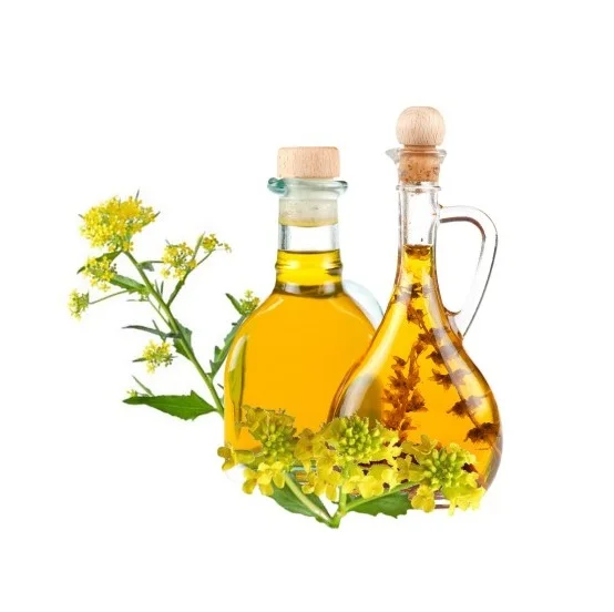 Cheapest Price Supplier Bulk Refined Rapeseed Oil / Canola Crude With Fast Delivery