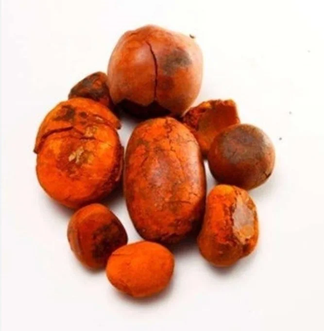 TOP QUALITY GALLSTONES FOR SALE / Cow Gallstone / 100 % Whole Ox Cattle Gallstone