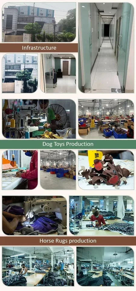 Exceptional Quality Wholesale Selling GNG-PT2404 Suede Pig Face Dog Bite Toy | Customized Color and Shape Available