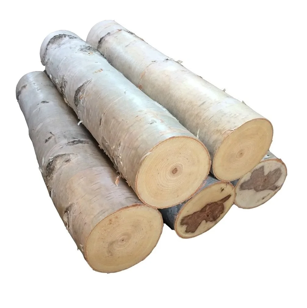 Круглые бревна из березовой древесины-баланса, биомассы и производство энергии