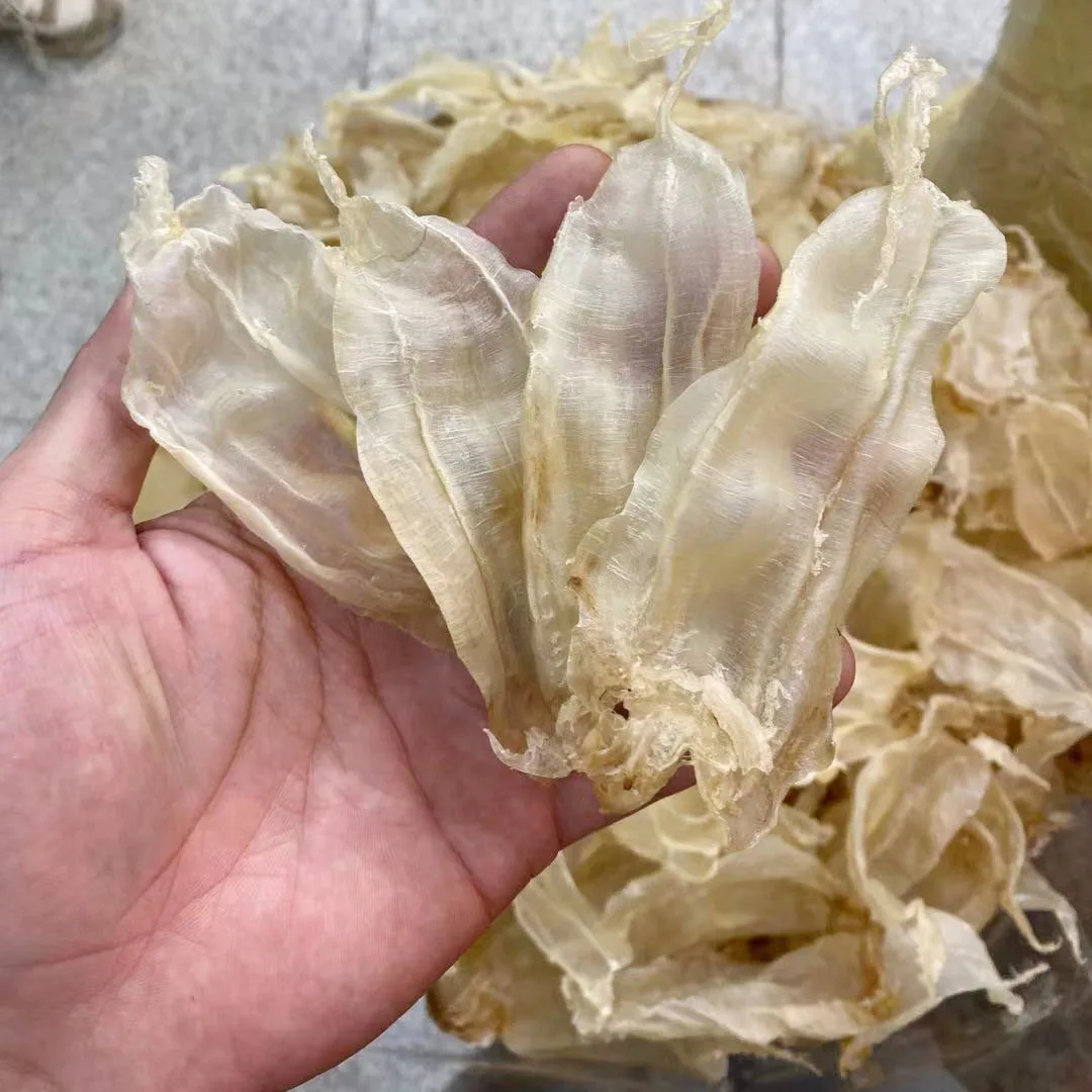 yellow fish maw Jew Fish Maw Datina fish maw soup tonic Factory wholesale Suriname Seafood Dried Goods from Bangladesh sea