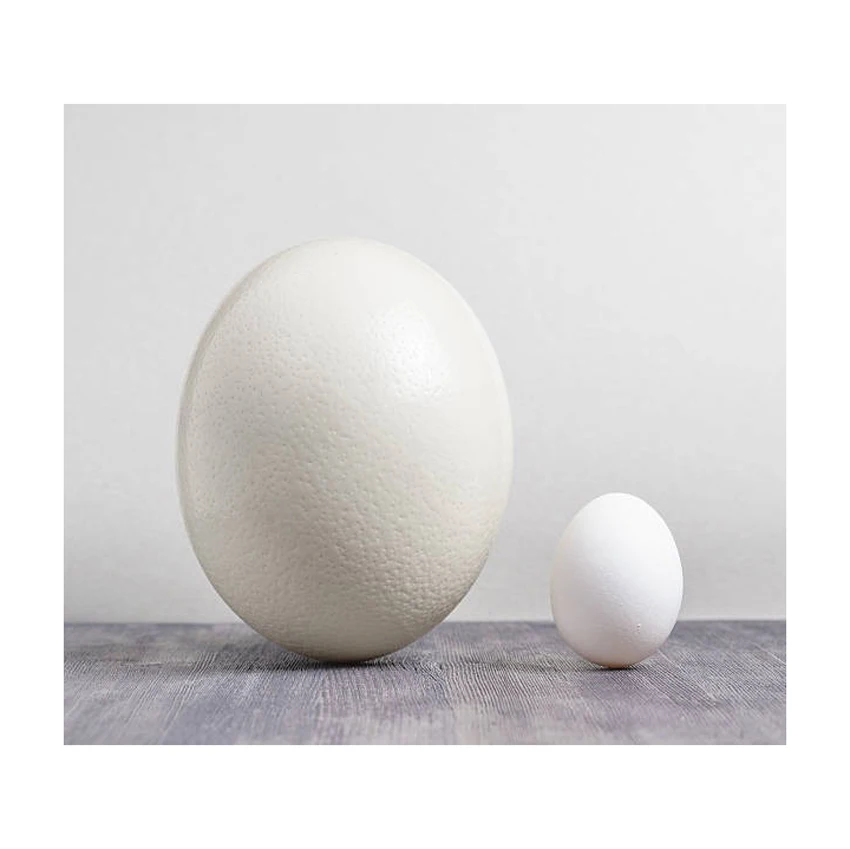 Свежие коричневые столовые яйца куриные яйца/свежие куриные столовые яйца коричневые и белые