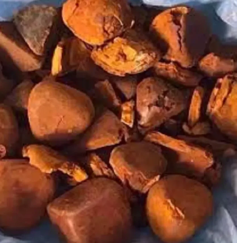 Лидер продаж желчные камни быка и коровы безоар из коровьего Галла дешевая цена