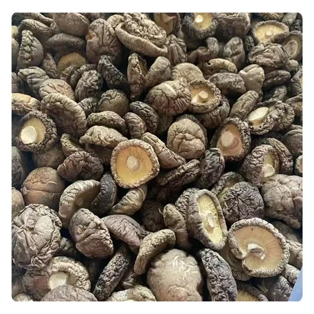 Лучший экспорт-высококачественные вьетнамские грибы шиитаке-натуральные вкусные и доступные по цене
