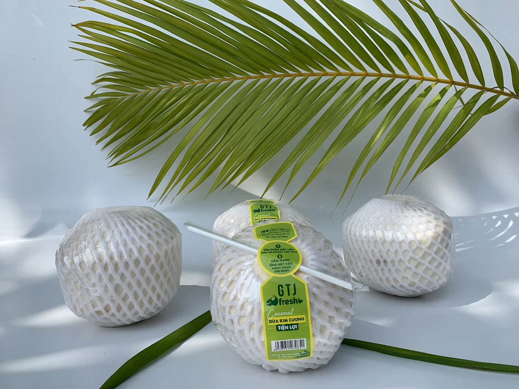 Top Quality Ready to Drink Purify and Detoxify the Body Fresh Fruit Water White Coconut From GTJ Fresh With Factory Price