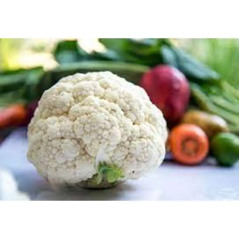 MN GLOBAL IMPEX 2022 best production for Cauliflower California Wonder