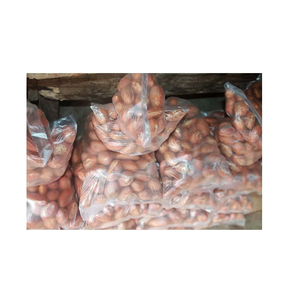 Дешевая здоровая Гарциния Кола (горькая Кола)