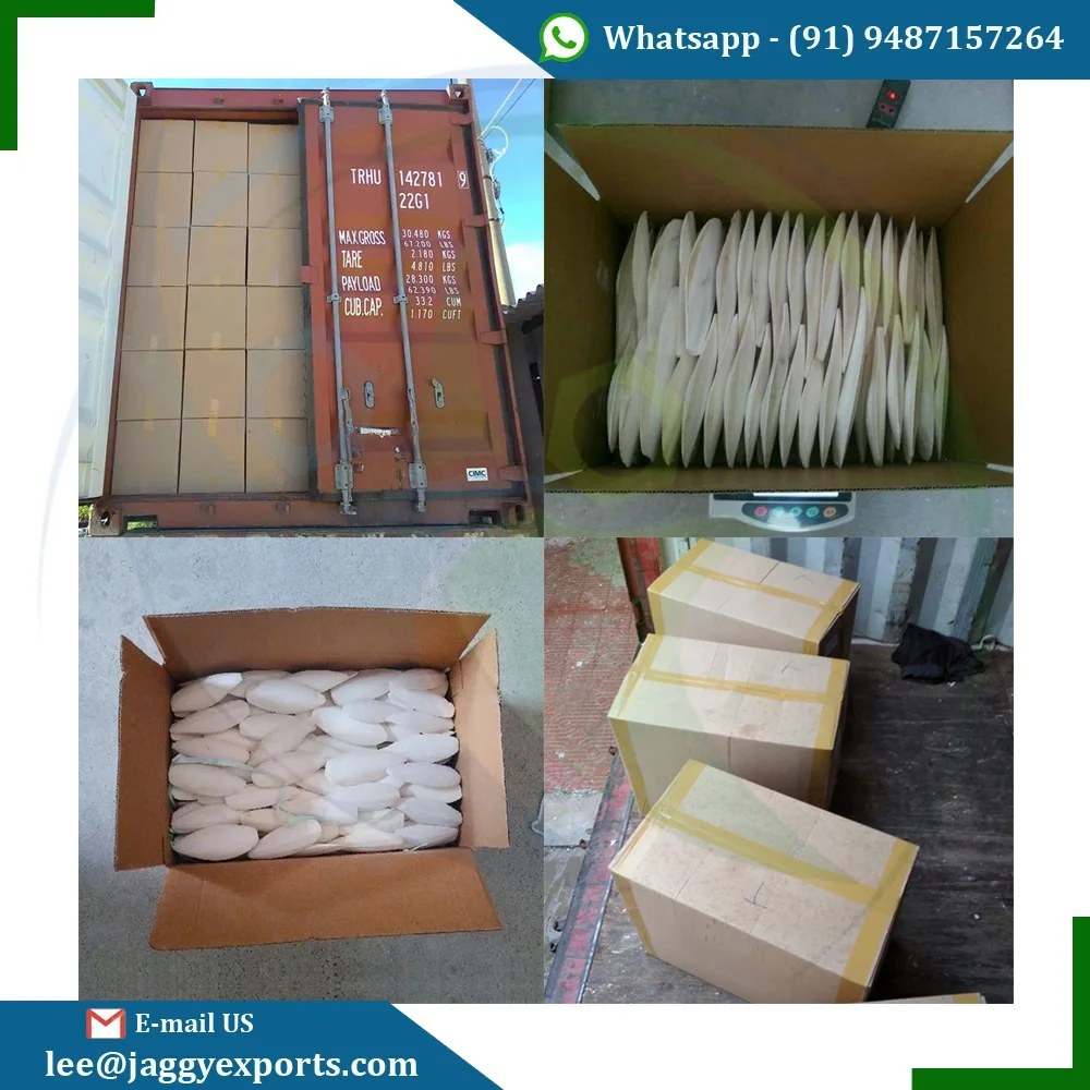 SUN DRIED CUTTLEFISH BONE - CALCIUM SQUID CUTTLEFISH BONE - TRIMMED CUTTLEFISH BONE