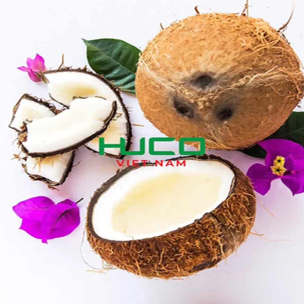 Низкая цена, лучшее качество, Свежий Кокосовый зеленый свежий сладкий молодой кокосовый органический из Вьетнама