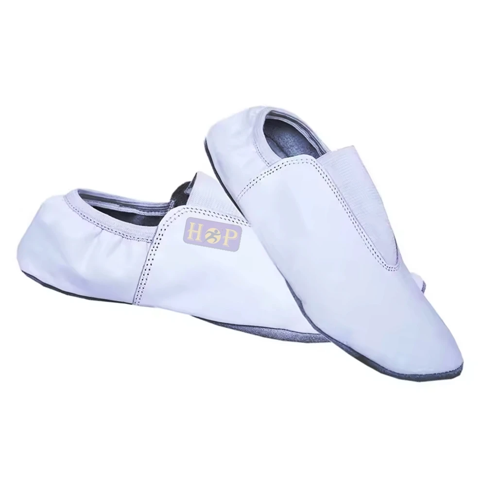 Dancing Shoes Ballet Dance Shoes