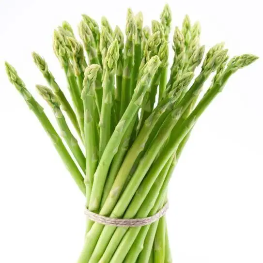Top Quality IQF Vegetable Asparagus and Frozen IQF Spring Asparagus