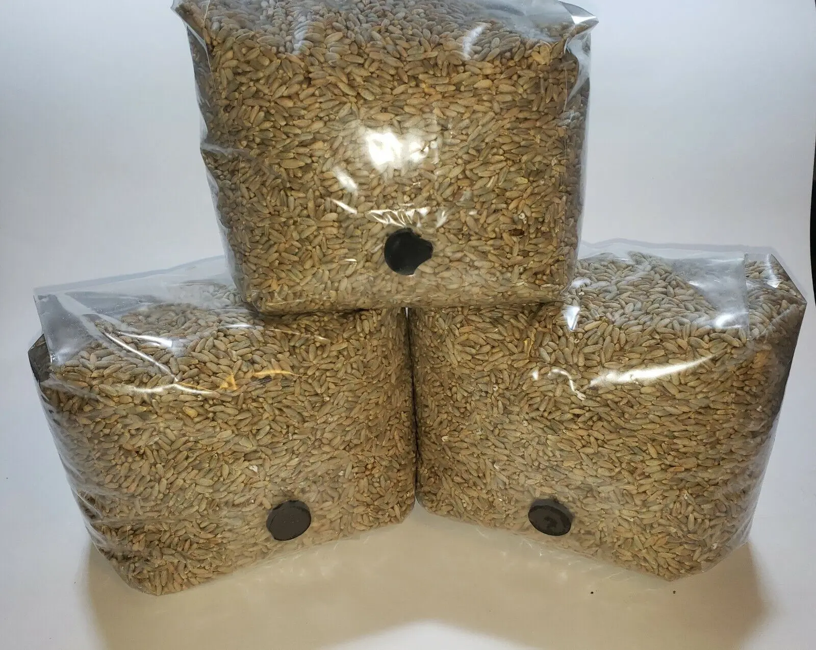 2016 New Forage Grass Seeds Sorghum Sudan Grass Seeds For Growing