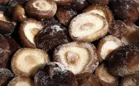 100% organic Frozen Whole shiitake mushroom Mushroom Stem from Vietnam Good package and good price