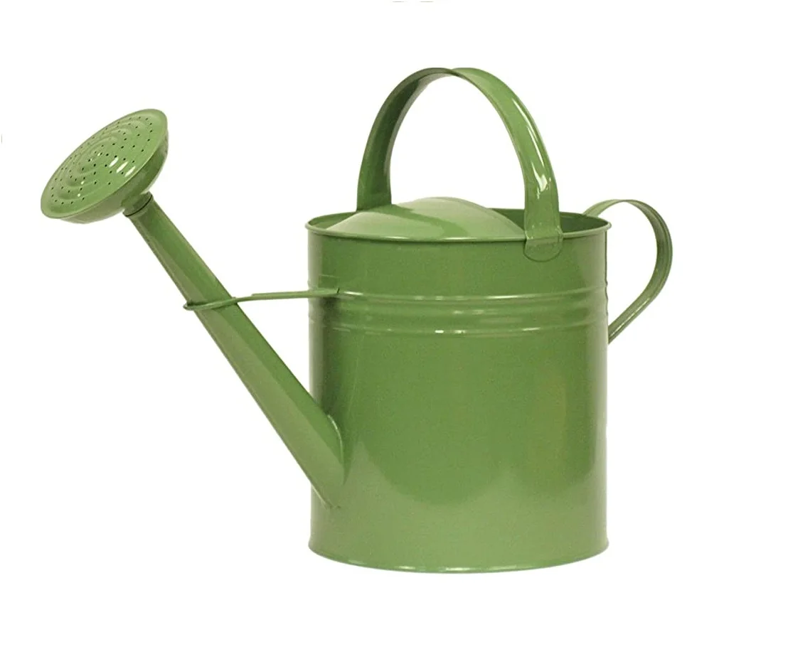 Awesome galvanized iron watering can high quality rust free garden decoration tools supplies cream color customize Design