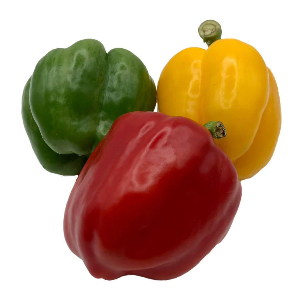 Fresh bell pepper for wholesale sweet pepper fresh capsicum high quality bell pepper