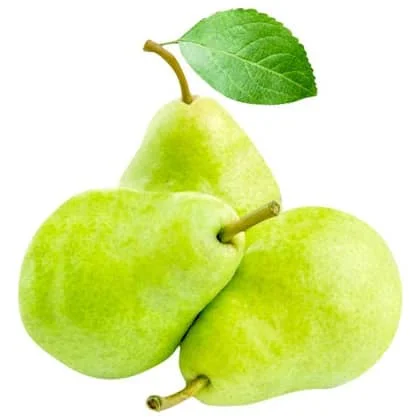 High quality pear fruit crown pear new crop fresh pears price for Russia and Ecuador export from USA