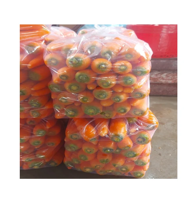 Wholesales fresh carrot various sizes to choose - Reliable Vietnamese Supplier - Long Shelf Life