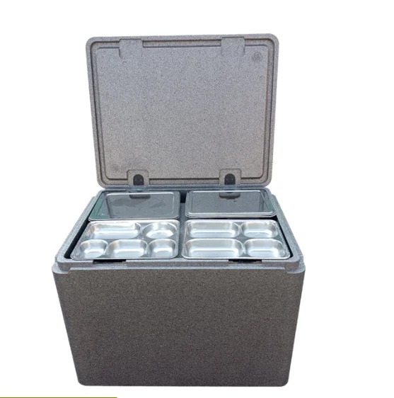 Camping Cold Chain Box Portable Outdoor Camping Cooler Medical Vaccine Blood Transport