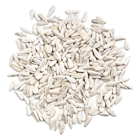 sunflower seeds.jpg