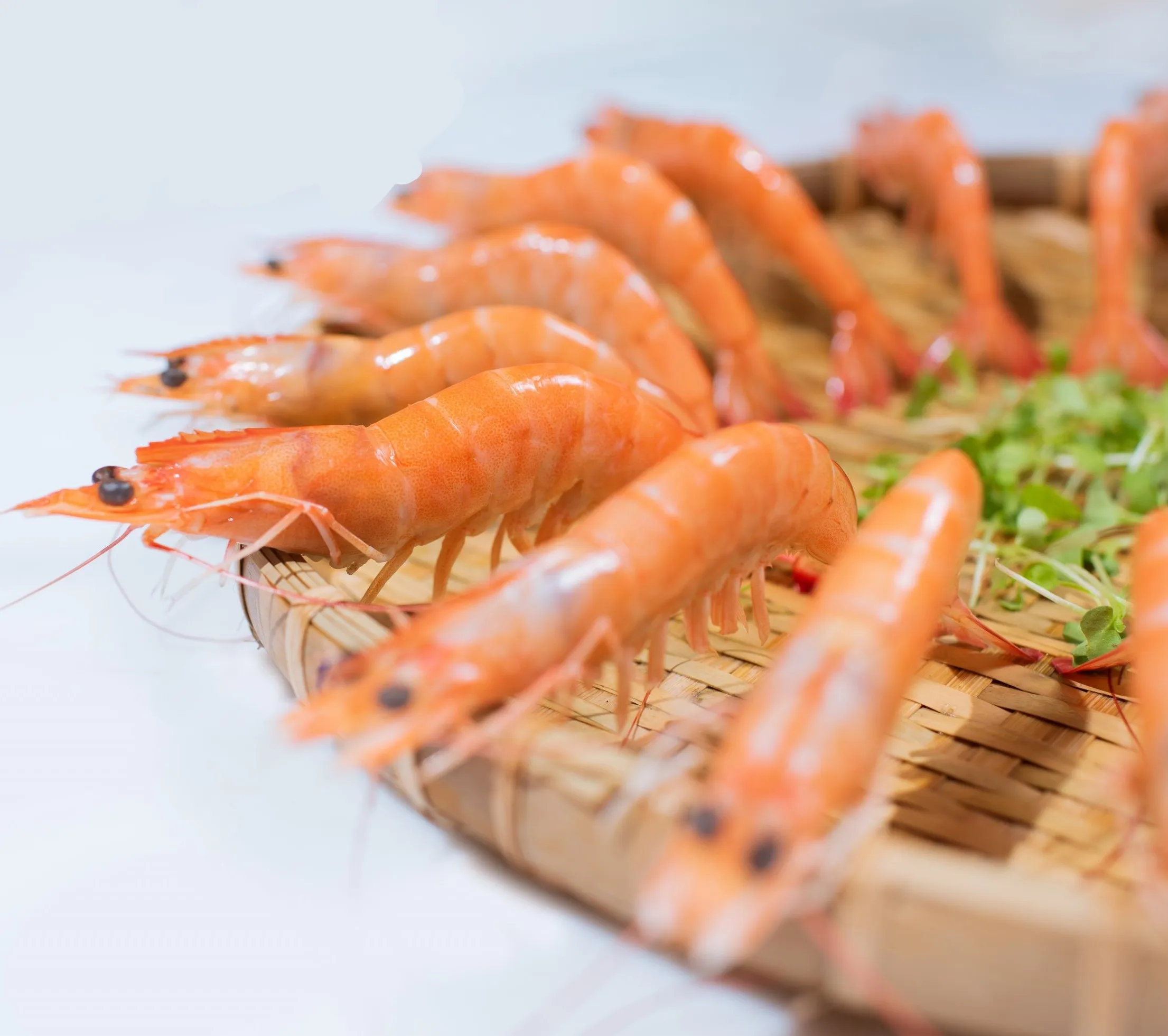 Vannamei Shrimp HOSO Cooked IQF Best Quality from Vietnam New Product Seafood Frozen Cooked