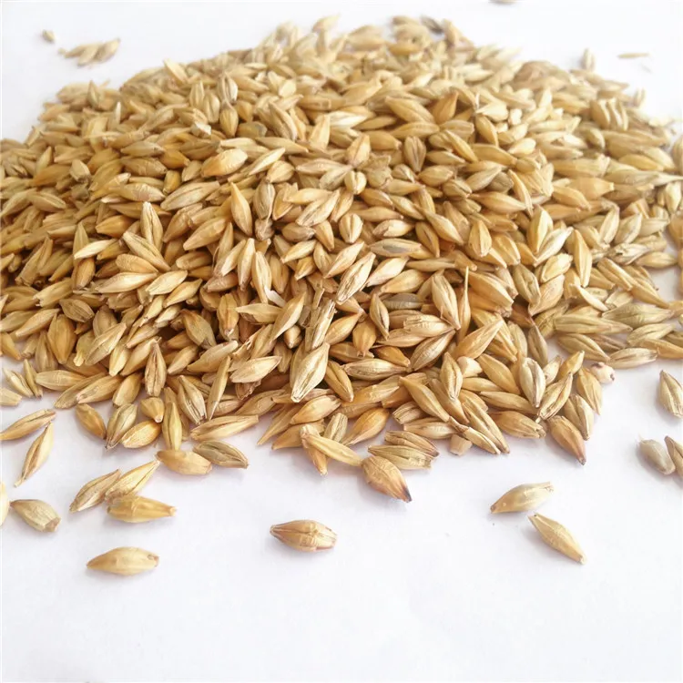Barley Max Yellow White Animals Customized Crop Style Packaging Color Brown Origin Type Year Dried PROTEIN Supply Min Broken