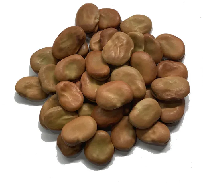 Wholesale Baked Boiled Broad Beans Fava Bean Canned Food 2 Years Shelf Life  Ready to Eat