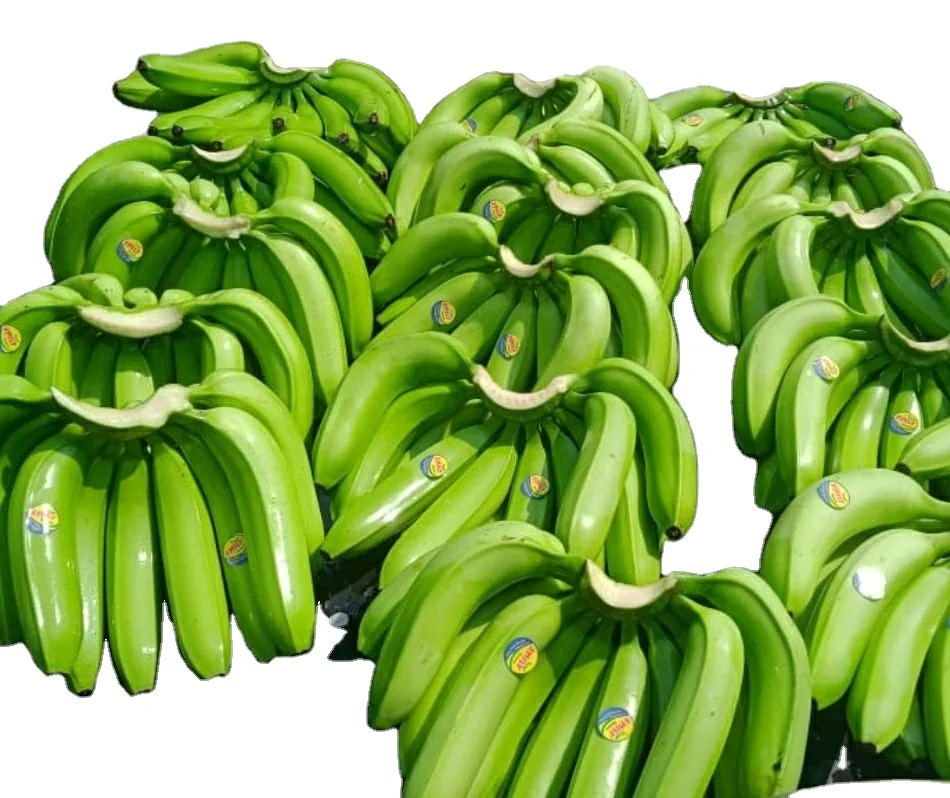 Cavendish Banana from Vietnam Best Quality Premium Grade 100% Natural Fresh Bananas Cavendish Bananas