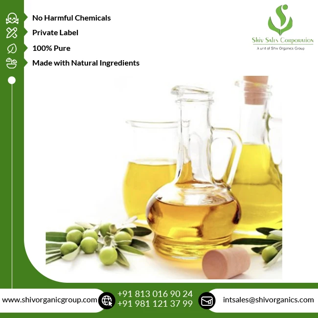 Indian Manufacturer of Best Quality Bulk Sale Natural Cold Pressed 100% Pure Olive Oil at Reasonable Market Price
