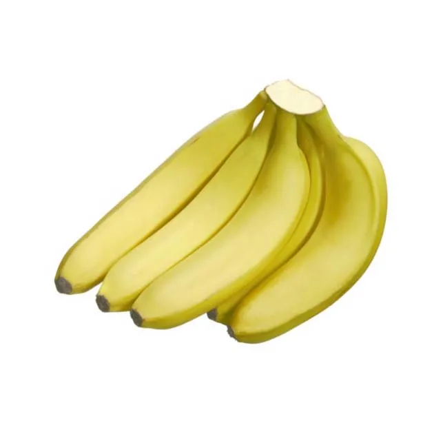 Bananas Prices in Ecuador/ Fresh Green Bananas For Sale / Fresh Cavendish Banana Importers cheap price