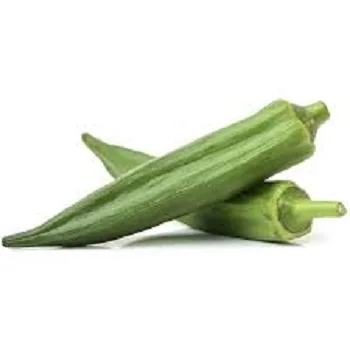 Quality Natural Fresh Okra/ Fresh Vegetable For Sale/hot selling Fresh Vegetables Okra