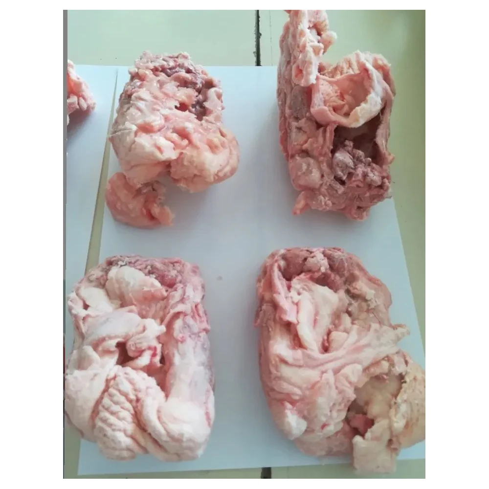 Factory Price Frozen Chicken Lower Backs From Poland Manufacturer
