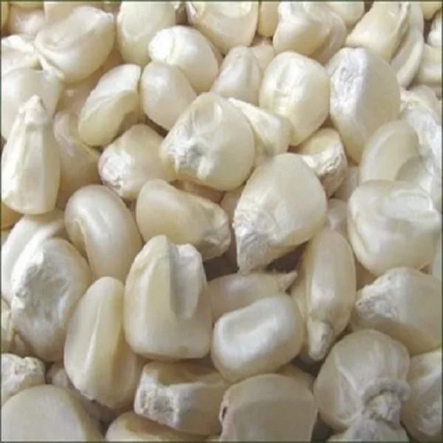 wholesale Sell Yellow Corn Maize Grains for Animal Feed / Animal Feed Corn Maize Dry Maize