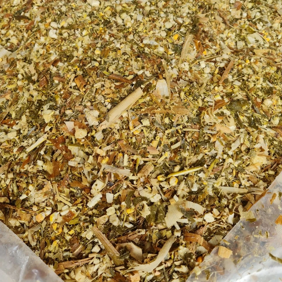 VIETNAM CORN SILAGE/CORN SILAGE ANIMAL FEED CONCENTRATE - HIGH QUALITY AND COMPETITIVE PRICE / Whatsapp +84902679738 Ms Jolie