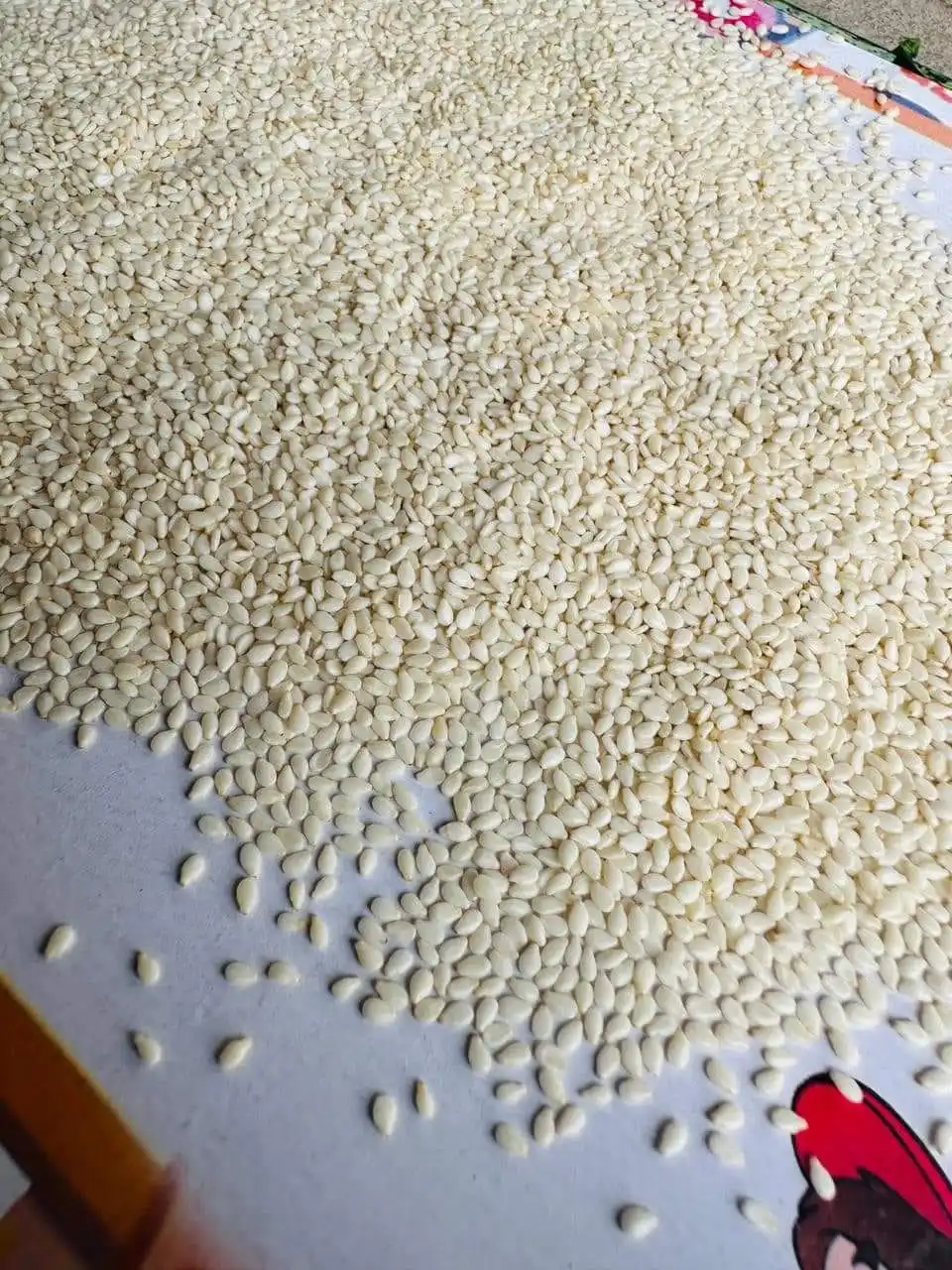 Sesame Seeds2.jpg