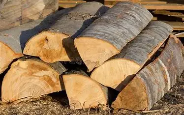 Timber LOGS.0022.jpg