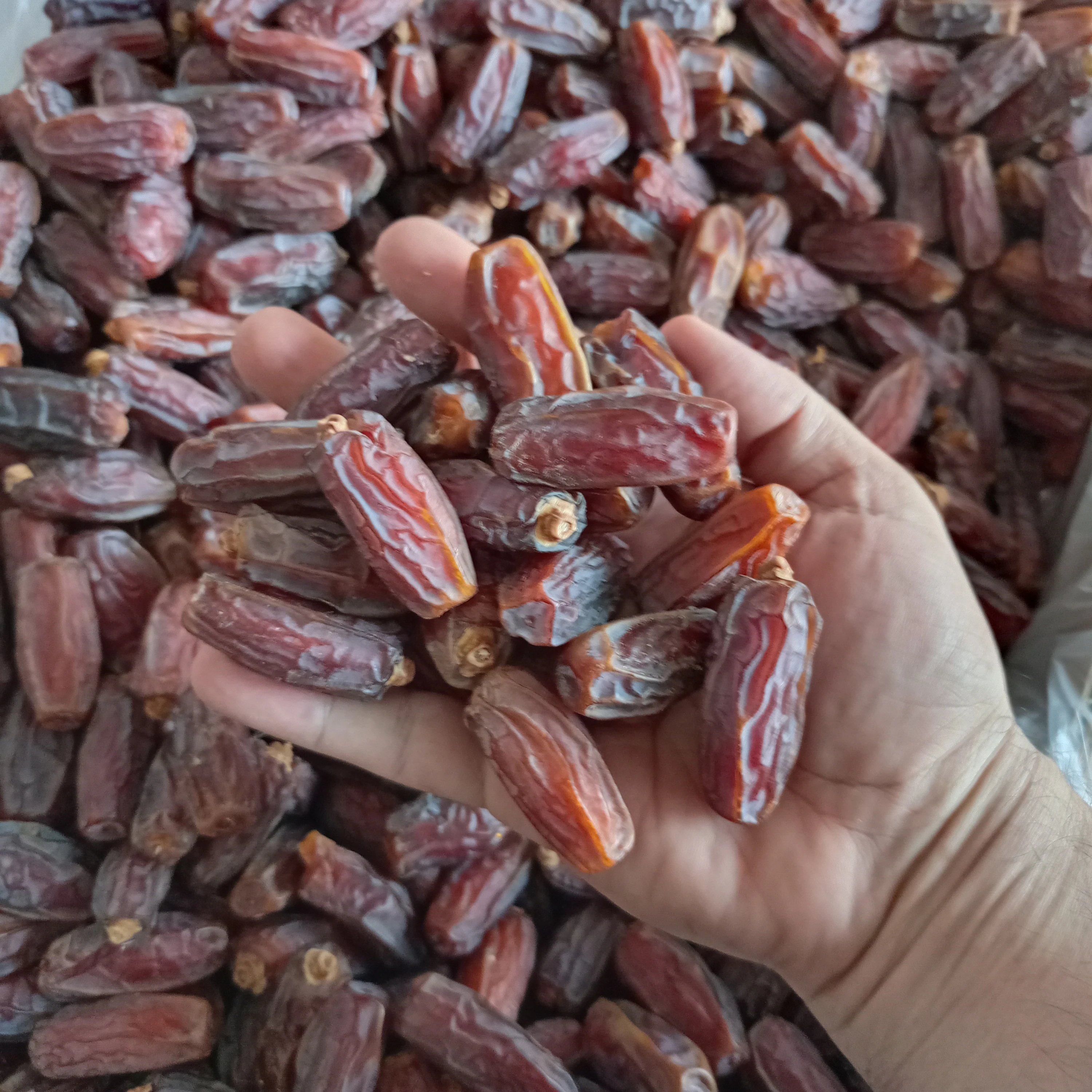 Yezao Top supplier of dates to global market Mabroom dates Saudi Dates available 5 kg packing and 24 kg packing box Ye zao