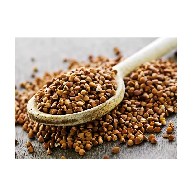 Wholesale Supplier of Natural Quality Organic Dry Sweet Buckwheat Hulls Bulk Quantity Ready For Export