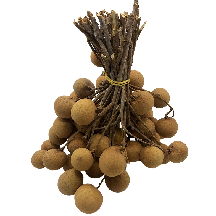 Premium Quality Imported Grade Longan Fruit Temperature measuring Quality Selecting Fresh Longan for Consuming from Thailand