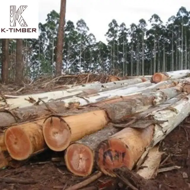 Eucalyptus Square Log From Africa Supplier Hardwood Floor Raw Materials Lumber Log Wooden Pallet Wood Boards Panel Timber